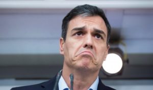 Cien días de honradez (¡y ni uno más!) Pedro Sanchez